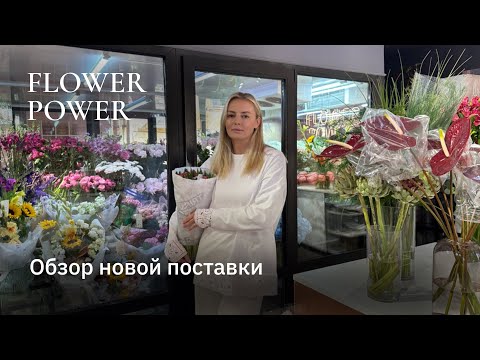 Видео: Что новенького у Flower Power