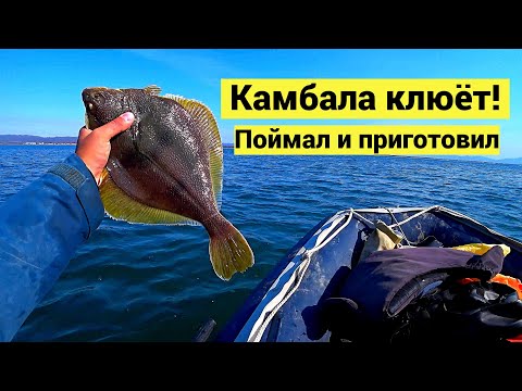 Видео: Камбала клюёт! Поймал и приготовил // СУБТИТРЫ