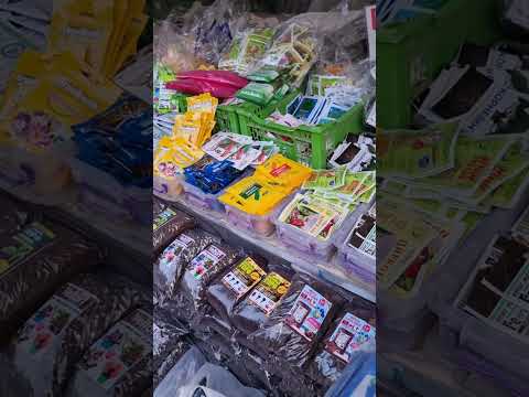 Видео: АНДИЖОН ЖАХОН БОЗОРИ ГУЛ БОЗОРИ ГУЛ ОЛАДИГАНЛАР УЧУН 94 437 08 80 ТЕЛ НОМЕР 