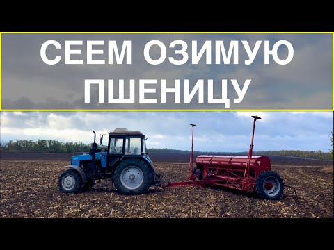 Видео: СЕВ ПШЕНИЦЫ 2022 | НОЧЕВКА В ПОЛЕ