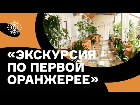 Видео: Первая оранжерея Царицына. Обзорная экскурсия