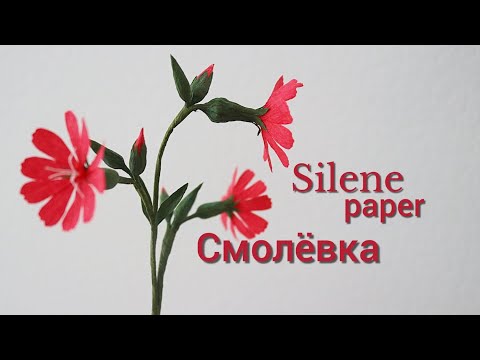 Видео: DIY/ Полевые цветы. Смолёвка из бумаги/ Silene paper