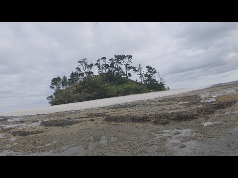 Видео: Ловля крупного люциана + ловля и приготовление на необитаемом острове - Кавау - залив Хаураки - в...