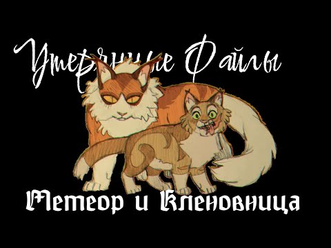 Видео: #38 Утерянные файлы/Метеор и Кленовница/ Коты воители