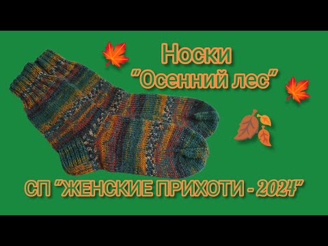 Видео: Вязание.  НОСКИ "ОСЕННИЙ ЛЕС" в СП "ЖЕНСКИЕ ПРИХОТИ - 2024".  Готовая работа сентября. Обзор //socks