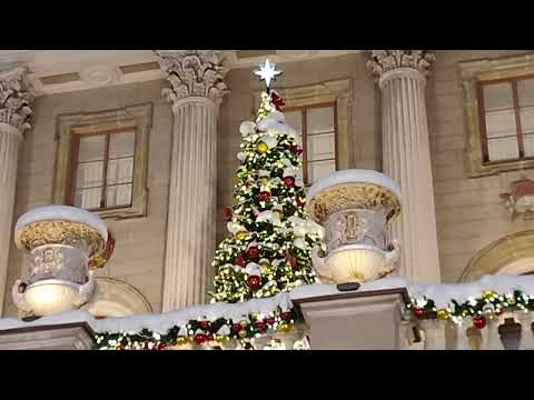 Видео: Мариинский дворец во всей красе