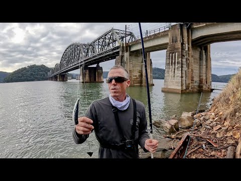 Видео: Рыбалка на этом мосту в течение 16 часов + хорошая сессия с приманкой