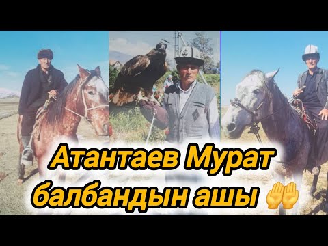 Видео: Атантаев Мурат балбандын ашы🤲