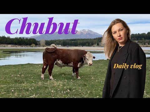 Видео: Патагония | Тюльпановые поля | Железная дорога Ля Трочита | Лагуна Ля Сета | Тревелин | Эскель