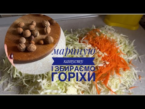 Видео: Мариную капусту // Збираємо горіхи, щоб зробити суміш з медом 