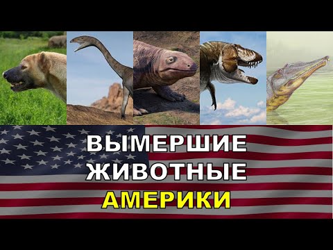 Видео: 5 Вымерших Животных США | Вымершие Животные Разных Стран