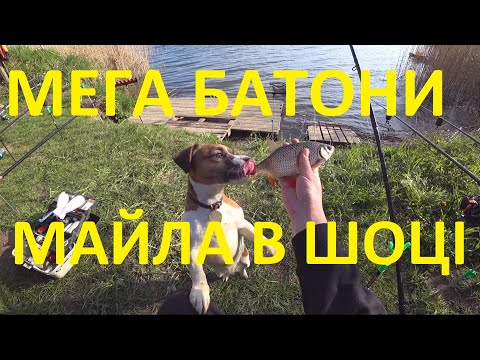 Видео: Рибалка з Ночівлею КРАЩИЙ відпочинок на ДИКІЙ ВОДОЙМІ Рибалка + Кухня Плотва клює як з КУЛИМЕТА