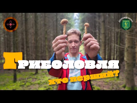 Видео: ГРИБОЛОВЛЯ "Хто перший?" #риболовляхтоперший #гриби #змагання #донат