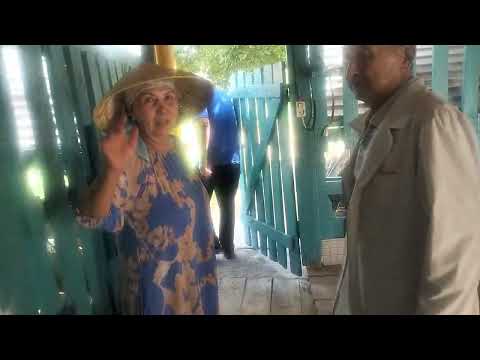 Видео: Ұржан әпкенің ешкі шаруашылығы