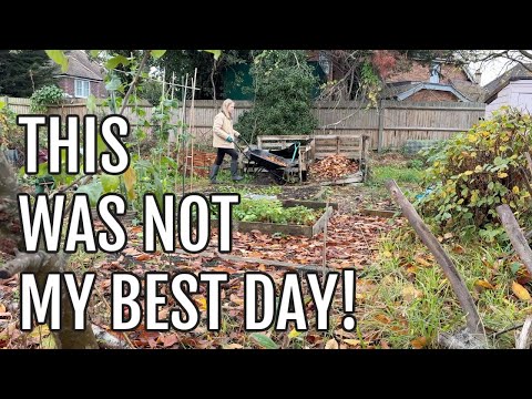 Видео: НЕ МОЙ ЛУЧШИЙ ДЕНЬ НА ДАЧНОМ УЧАСТКЕ / САДОВОДСТВО НА ДАЧНЫХ УЧАСТКАХ ВЕЛИКОБРИТАНИИ