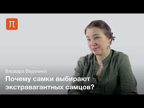 Видео: Механизмы полового отбора — Варвара Веденина