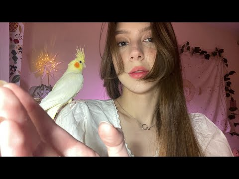 Видео: asmr аффирмации и движения рук🤲🏻