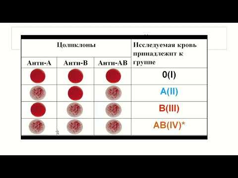 Видео: Физиология крови.  Часть 3.  Группы крови.