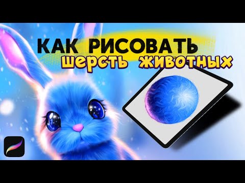 Видео: КАК РИСОВАТЬ ШЕРСТЬ ЖИВОТНЫХ | Уроки Procreate | Рисуем на IPAD