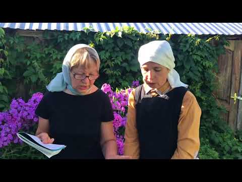 Видео: Огород вместо больницы.