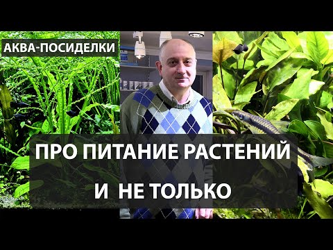Видео: Питание растений и не только.  Аква посиделки с А. Ершовым