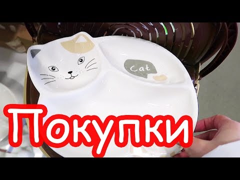 Видео: VLOG Настя вылезла в окно. Покупки для ремонта и для души