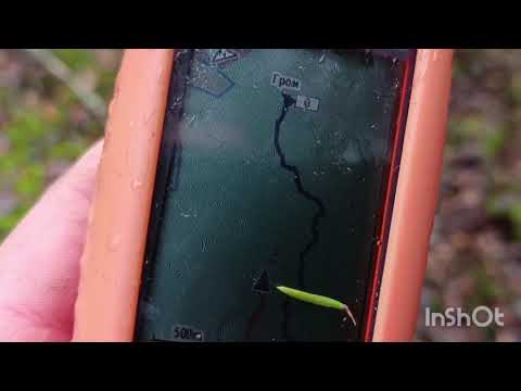 Видео: Охота с гончей 02 ноября 2025г.