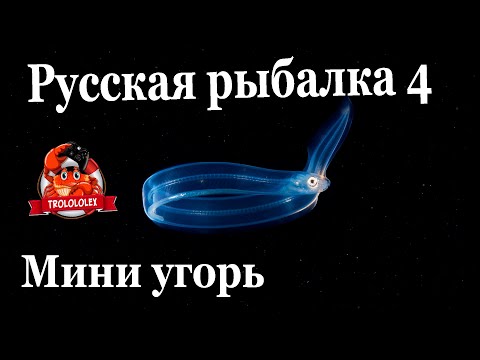 Видео: Русская рыбалка 4 Старый острог и немного угря