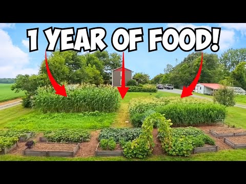 Видео: Как сад площадью 1/8 акра кормит семью из 6 человек КРУГЛЫЙ ГОД!