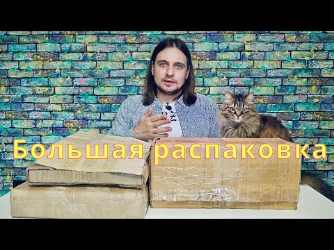 Видео: Большая распаковка посылок — десятки пластинок, более 150 дисков, журналы и Кот Профессор рядом
