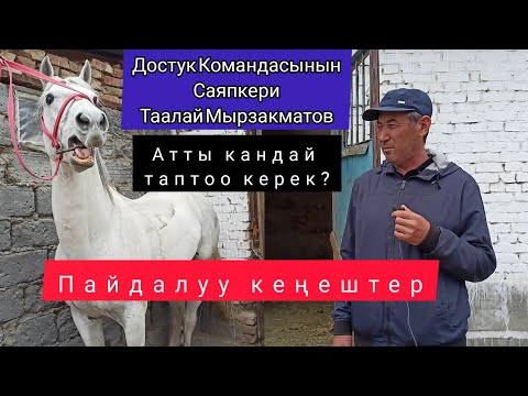 Видео: Достук Командасынын Саяпкери Таалай Мырзакматов менен суроо жооп? Атты кандай таптоо керек?