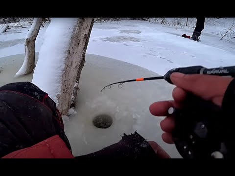 Видео: ОПУСТИЛ БАЛАНСИР ПОД КОРЯГУ И СРАЗУ ПОКЛЕВКА!! РЫБАЛКА НА Алтае! Балансир,окунь.