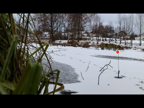 Видео: Розставив жерлиці в сільській МІКРО річці і ОФІГІВ від кількості Покльовок