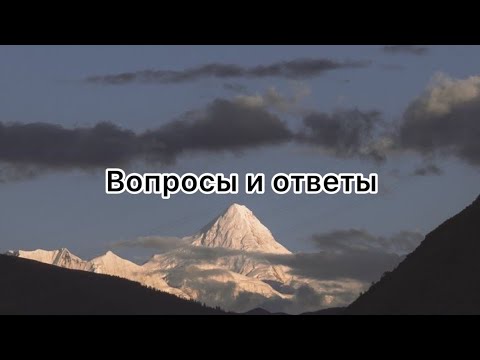 Видео: Вопросы ответы • Прямой эфир (Табиғат Қаутай)