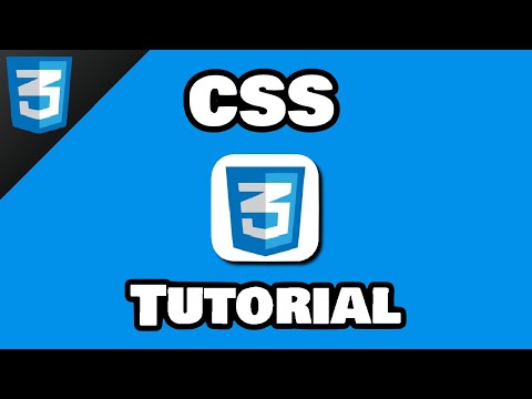 Видео: Начните изучать CSS за 8 минут! 🎨