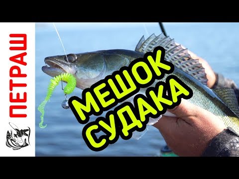 Видео: РЫБАЛКА! Открытие сезона! Наловили МЕШОК СУДАКА!