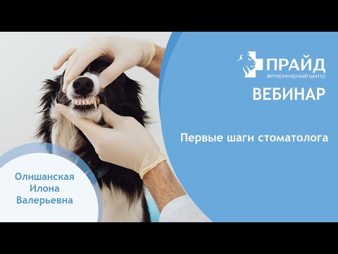 Видео: Первые шаги стоматолога