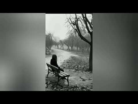 Видео: Перфе-Девочка забытой кайф