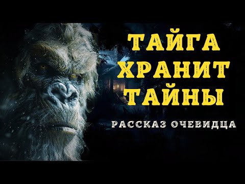 Видео: Жуткое происшествие в ТАЙГЕ  Байки охотников