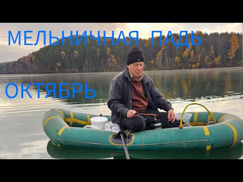 Видео: РЫБАЛКА В МЕЛЬНИЧНОЙ ПАДИ.