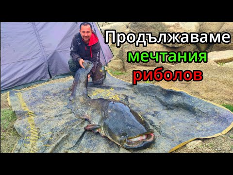 Видео: Трофейни риби на буй. Хубав сом удари и на кльонка.