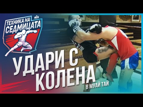 Видео: Основни удари с колена в муайтай с Веселин Веселинов