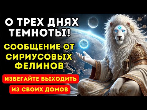 Видео: 🌑 О ТРЕХ ДНЯХ ТЬМЫ! ⚠️ ВАЖНОЕ ПОСЛАНИЕ ОТ СИРИУСОВЫХ ФЕЛИНОВ 🐾