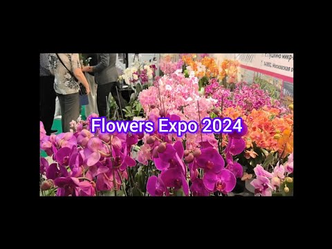 Видео: Flowers Expo 2024. ЦветыЭкспо. Цветочная выставка в Москве, 11.09.2024