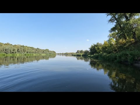 Видео: Рыбалка на реке Дон. Петропавловка.