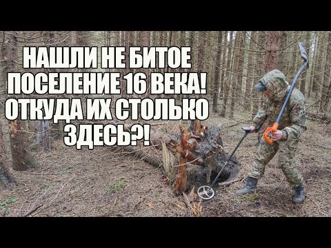 Видео: ЗДЕСЬ НИКТО НЕ КОПАЛ 500 ЛЕТ! Поиск золота с металлоискателем / Russian Digger