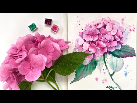 Видео: Давайте нарисуем гортензию акварелью шаг за шагом.