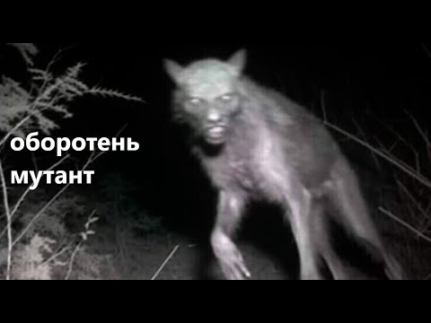 Видео: оборотень мутант (altered beast)
