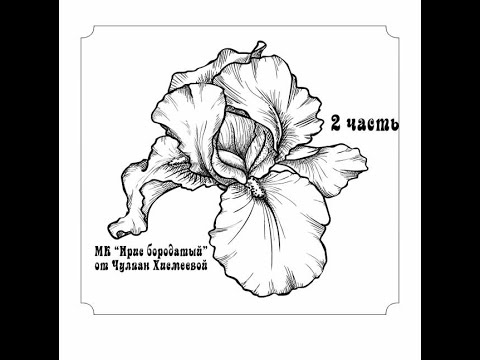 Видео: Видео-урок Авторская работа "Ирис бородатый" 2 часть. Мастер Чулпан Хисмеева