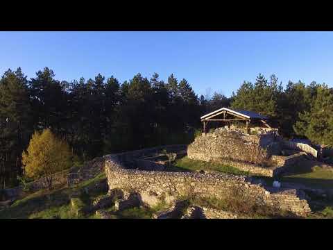 Видео: Станкиното лице мамо...